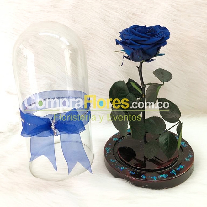 Rosa Eterna