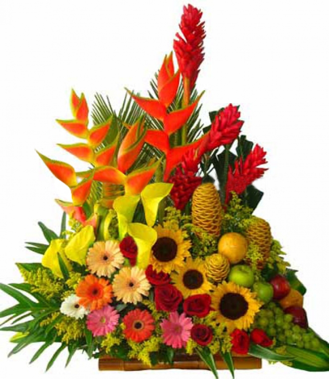 Suspiro de Amor