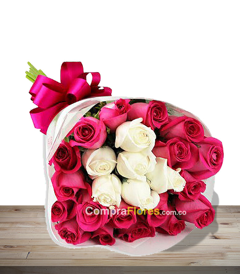 amore x 24 flores