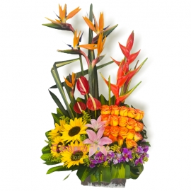 Atardecer Floral