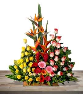 Contraste de flores