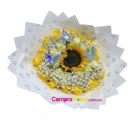 Buchon de Rosas Sol